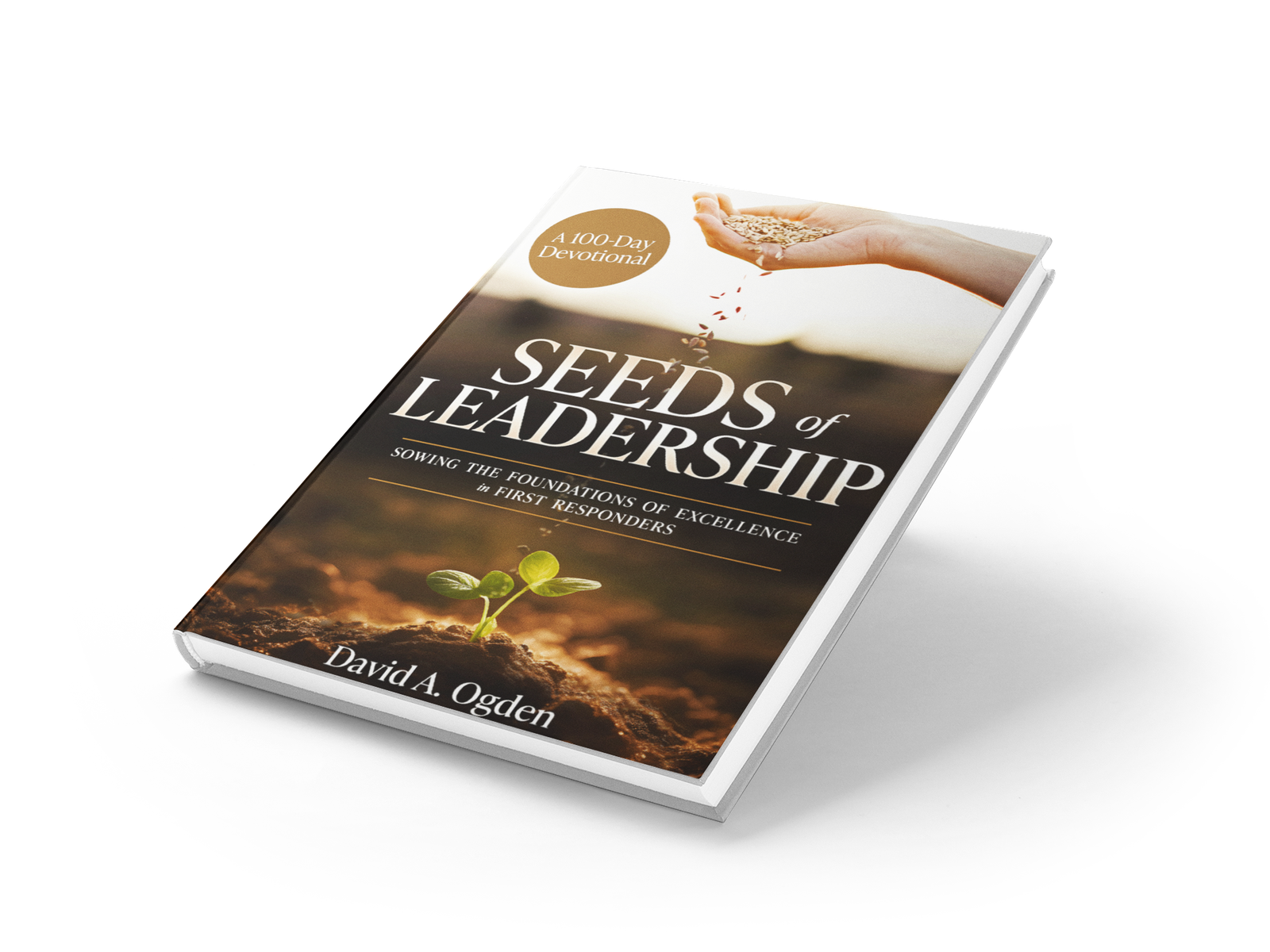 Three-dimensional mockup of Seeds of Leadership by David A. Ogden
